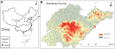 Remote sensing inversion of soil organic matter in cropland combining topographic factors with spectral parameters